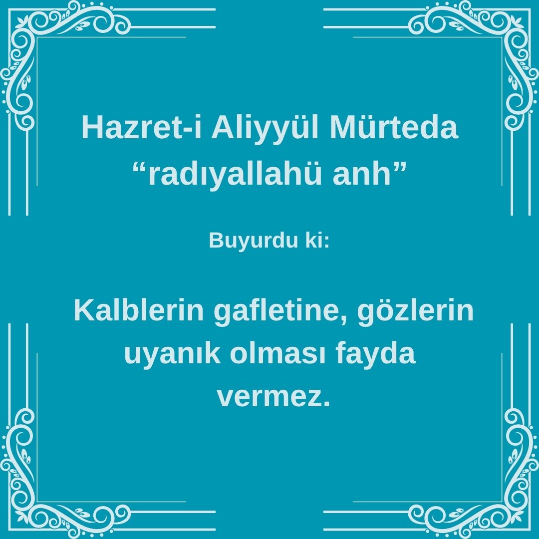 Aliyyül Mürteda (85)